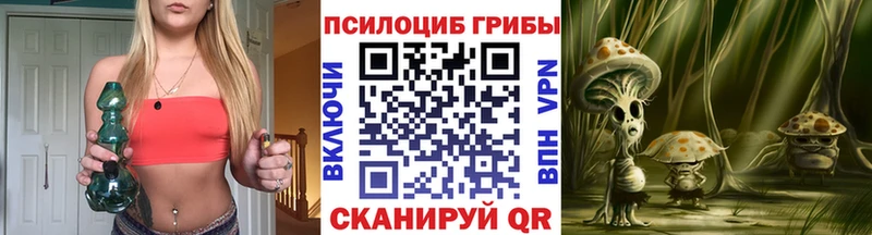Купить закладки  Ветлуга  Псилоцибиновые грибы MAGIC MUSHROOMS 